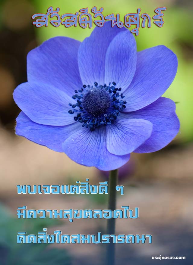 บัตรอวยพร พระคุ้มครอง สวัสดีตอนเช้า วันศุกร์