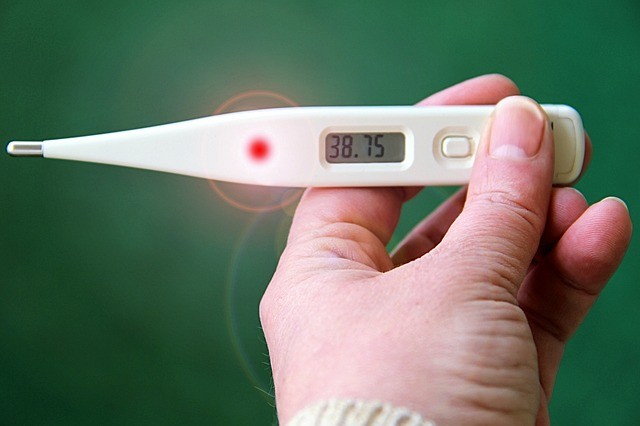 ถวายปรอทวัดไข้ (Thermometer) ไม่ยากไร้ เมื่อไข้ป่วย