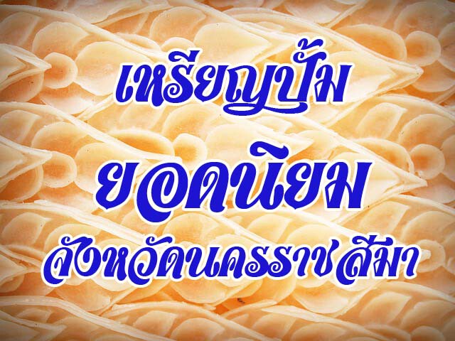 สุดยอดเหรียญปั้มยอดนิยม จังหวัดนครราชสีมา