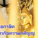 พุทธภาษิตเกี่ยวกับความกตัญญู ต่อมารดาบิดา