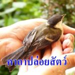 คาถาปล่อยสัตว์ ทุกชนิด