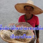 ปล่อยสัตว์ที่เขานำมาขาย เป็นบาปหรือไม่ ?