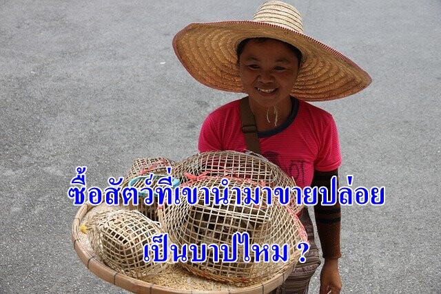 ปล่อยสัตว์ที่เขานำมาขาย เป็นบาปหรือไม่ ?