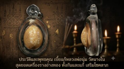 ประวัติและพุทธคุณ เบี้ยแก้หลวงพ่อนุ่ม วัดนางใน สุดยอดเครื่องรางอ่างทอง ทั้งกันและแก้ เสริมโชคลาภ