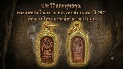 ประวัติและพุทธคุณ พระนาคปรกใบมะขาม หลวงพ่อชา รุ่นแรก ปี 2521 วัดหนองป่าพง มงคลล้ำค่าสายกรรมฐาน