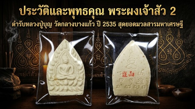 ประวัติและพุทธคุณ พระผงเจ้าสัว 2 ตำรับหลวงปู่บุญ วัดกลางบางแก้ว ปี 2535 สุดยอดมวลสารมหาเศรษฐี